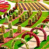 Волшебный парк цветов в Дубае